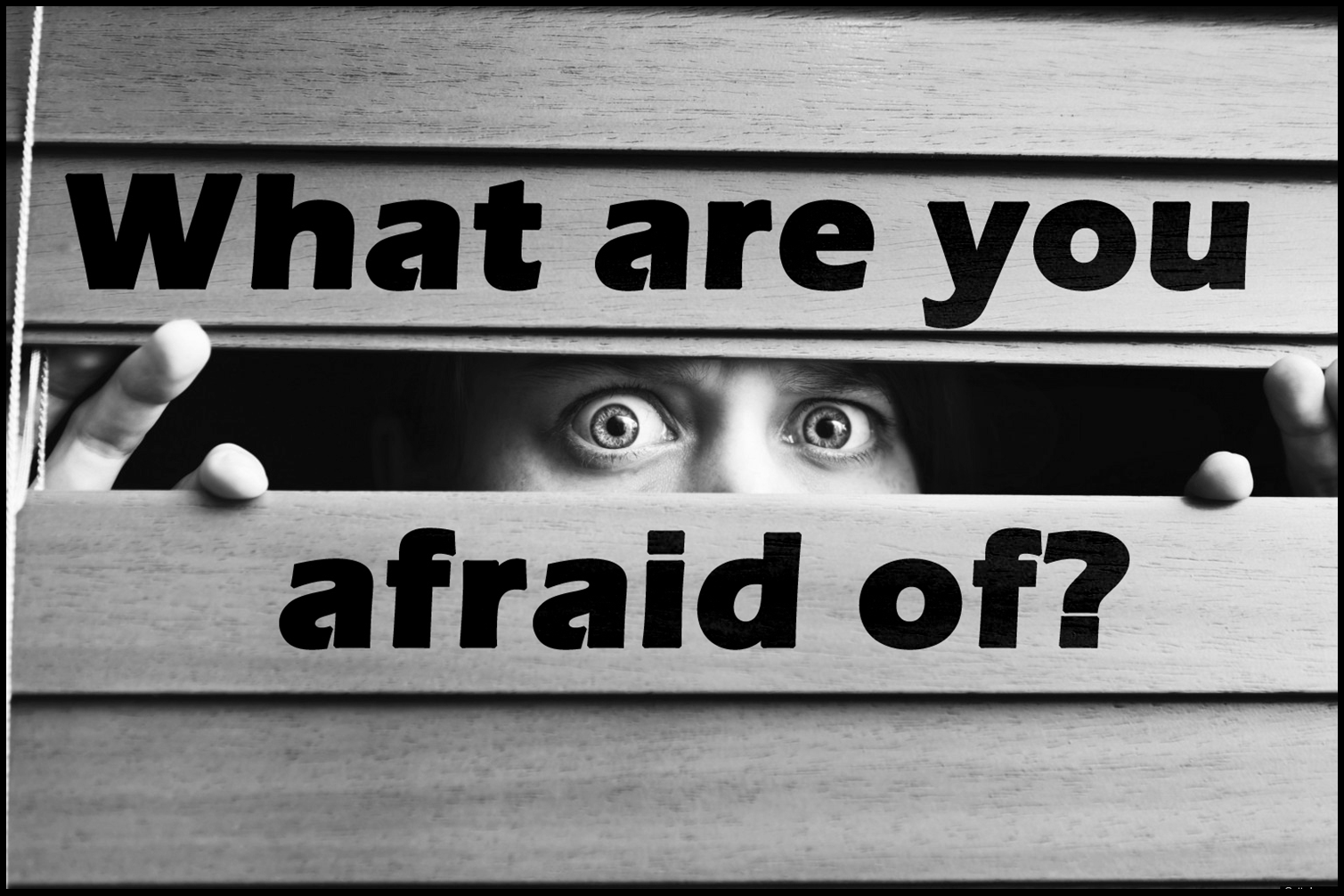 What Are You Afraid Of