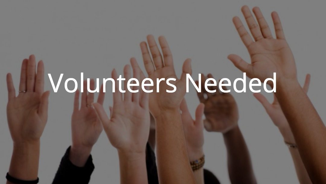 Looking to Volunteer Somewhere?