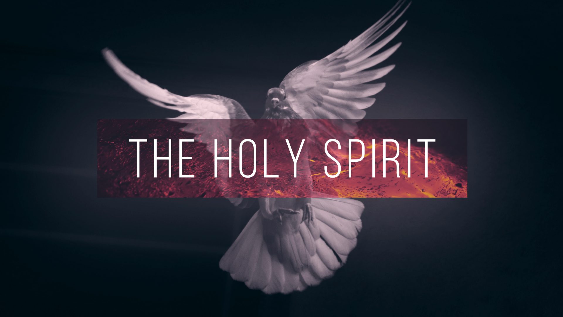 How the Holy Spirit Transforms Us