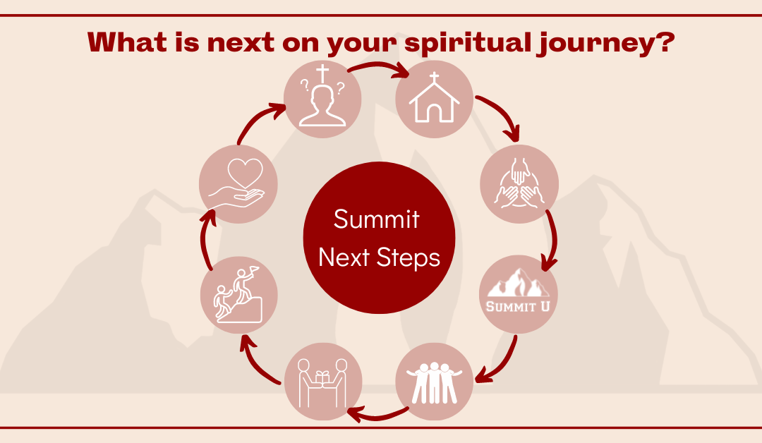 Introducing: Summit Next Steps!