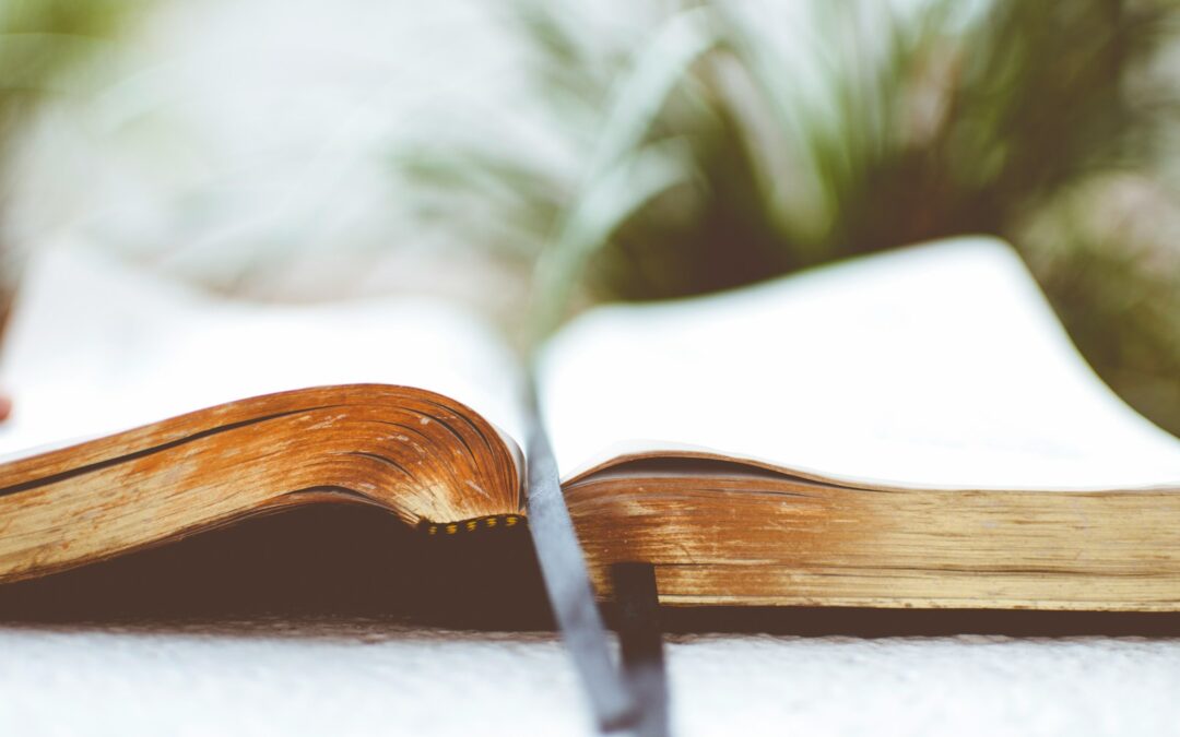 open book on white surface