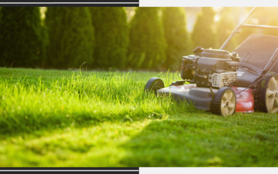 Now Hiring: Paid Lawncare Position