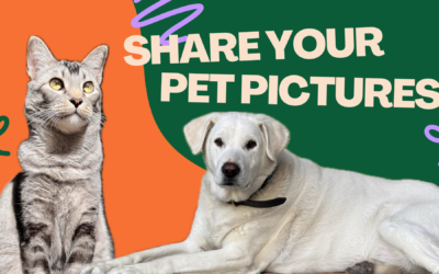 Share your pet pictures with us!